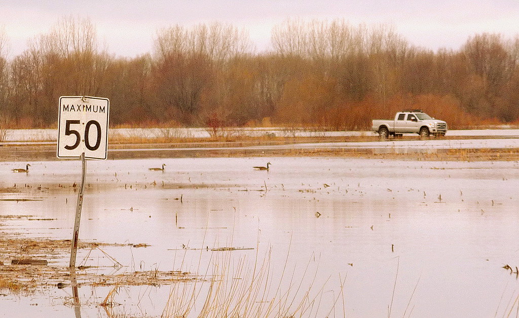 Baiedufebvre, 25 avril 2019. Crue du lac SaintPierre. Flickr