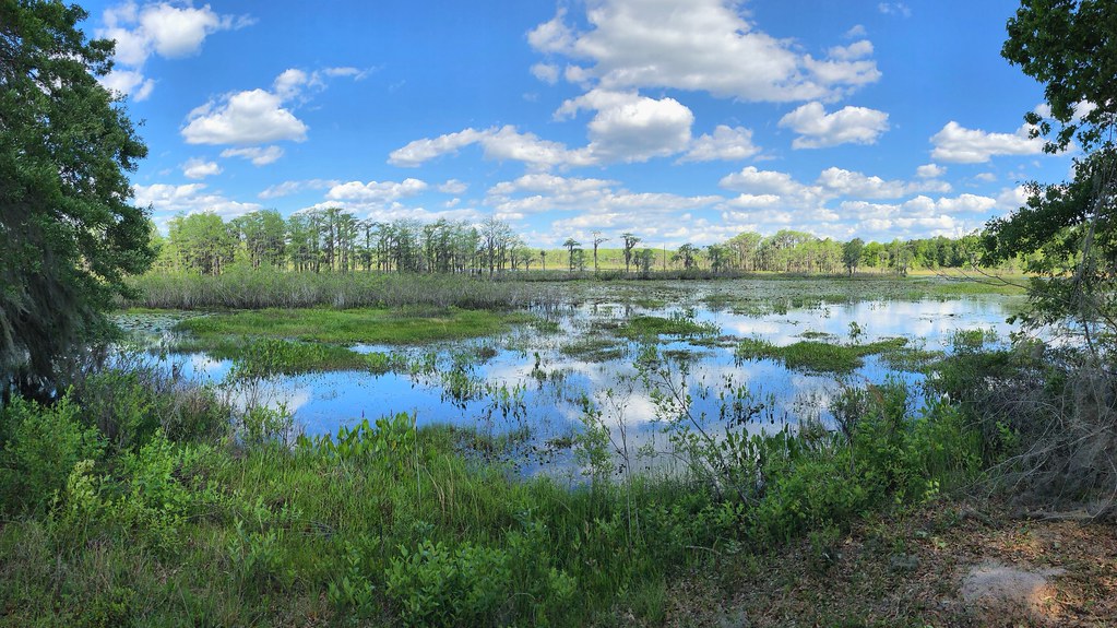 Lake Lafayette From its west edge near the portage from La… Flickr