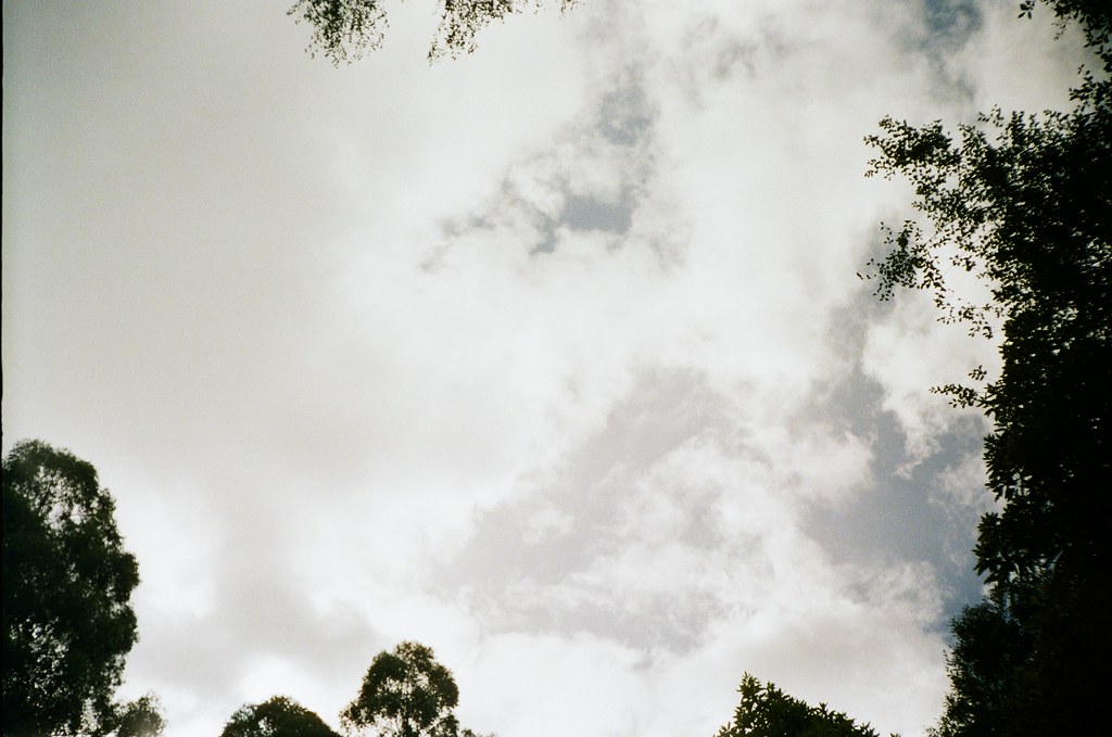 Cloudy Camera used Premier PC500 Film used Kodak Ultram… Flickr