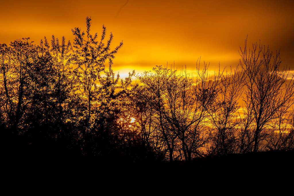 _MG_0311 Saturday sunrise in Doe Run, Mo. DougS2013 Flickr