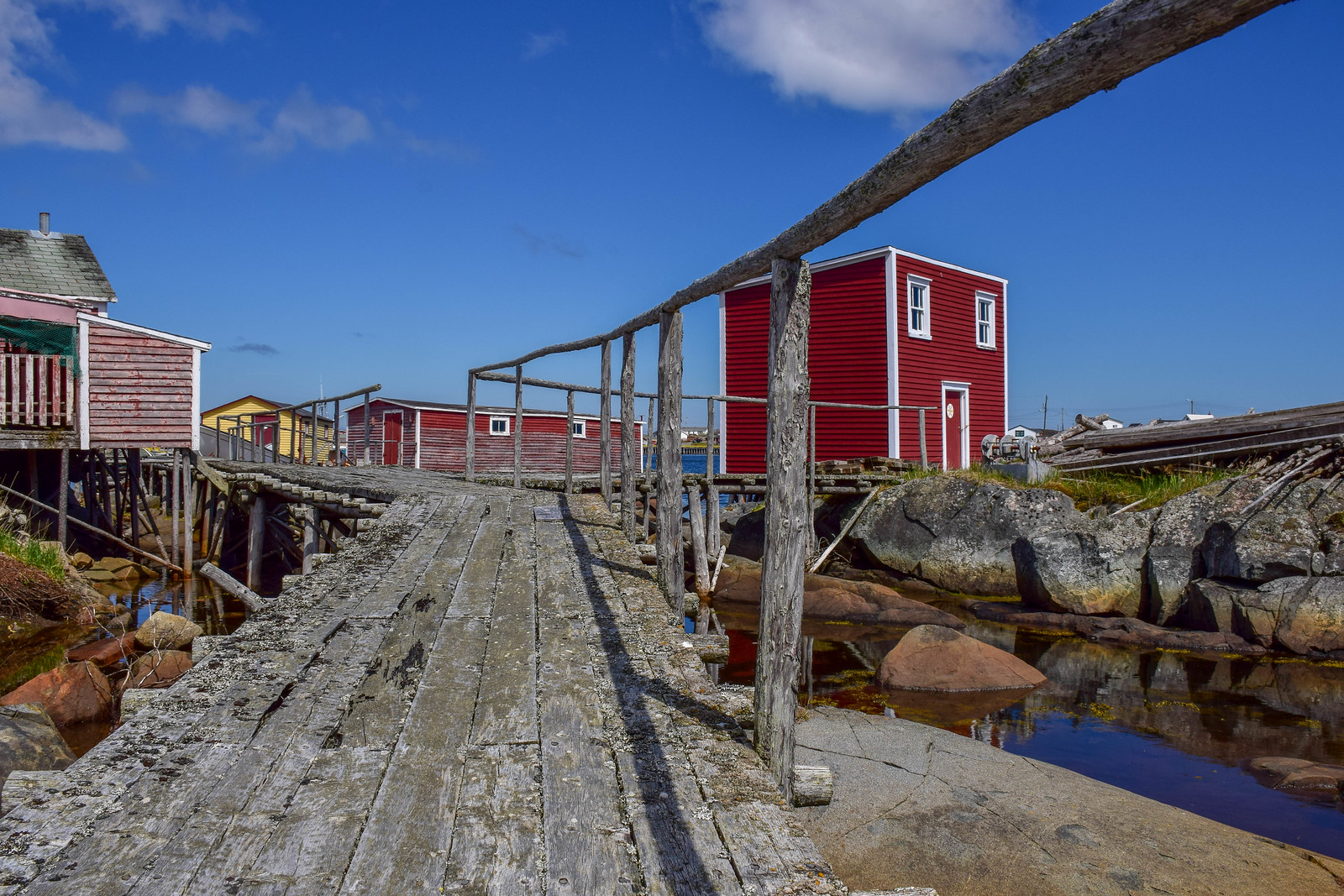 Fogo Island, Newfoundland A Complete Guide Travel Bliss Now