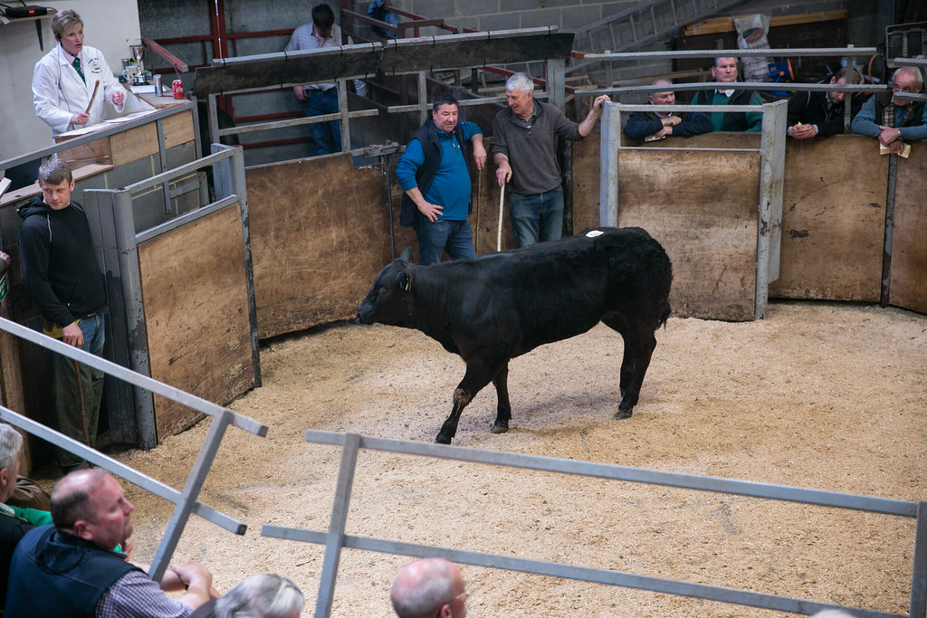 Centenary Sale 19460 Barnard Castle Auction Mart Flickr
