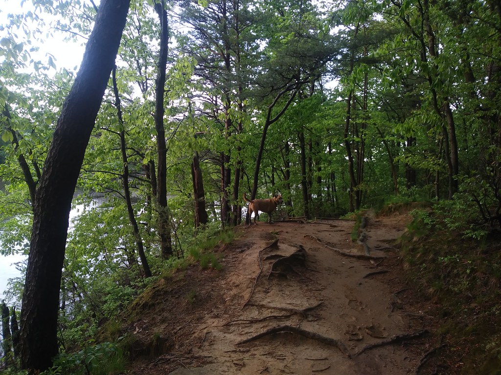 Truxton Park Ken Mayer Flickr