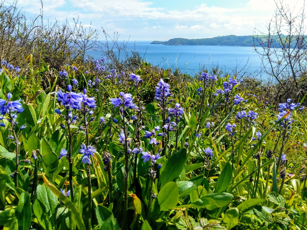 Bluebell view keffers007 Flickr