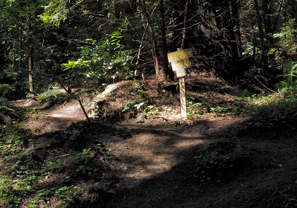 To the Vista Point Ridge Top Trail was a stiff climb but t… Flickr