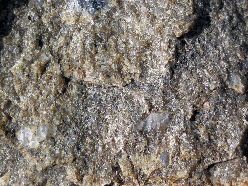 Radioactive quartzpebble conglomerate (Matinenda Formatio… Flickr