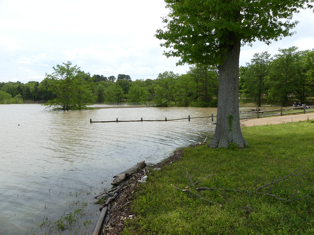 Sardis Lake 2019 Flickr