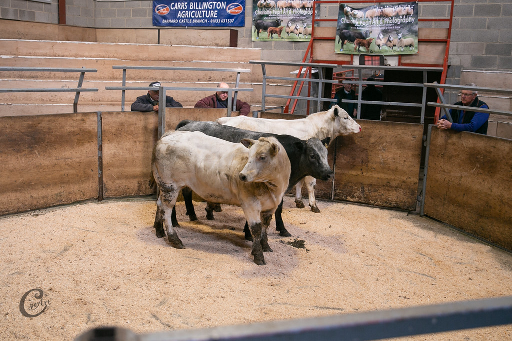 Centenary Sale 19412 Barnard Castle Auction Mart Flickr
