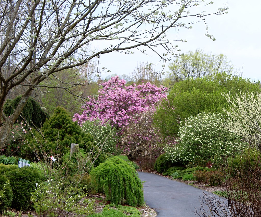Secrest Arboretum, Wooster, Ohio Don Anderson Flickr