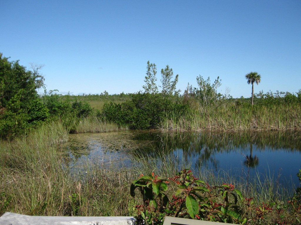 Atlantic Coastal Ridge At the Ernest F Coe Visitor Centre,… Flickr