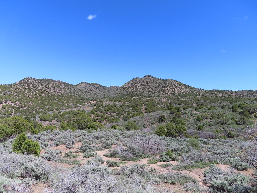 Cove Mountain (7325') 5/2/2019 Flickr