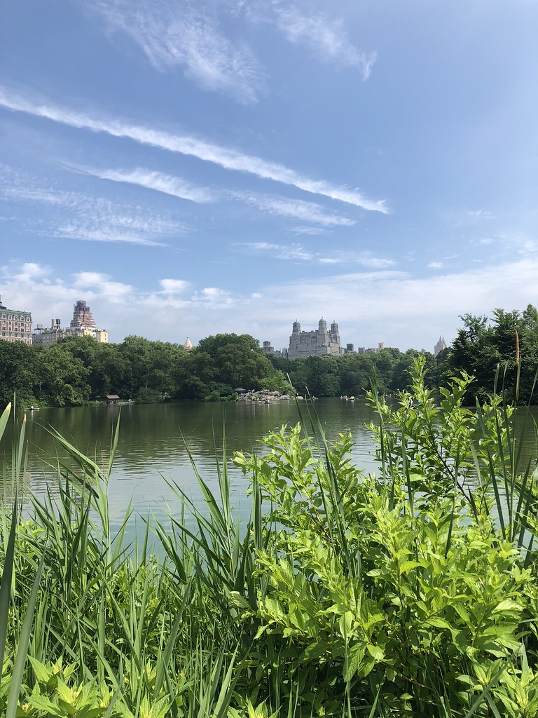 New York austin.bench Flickr