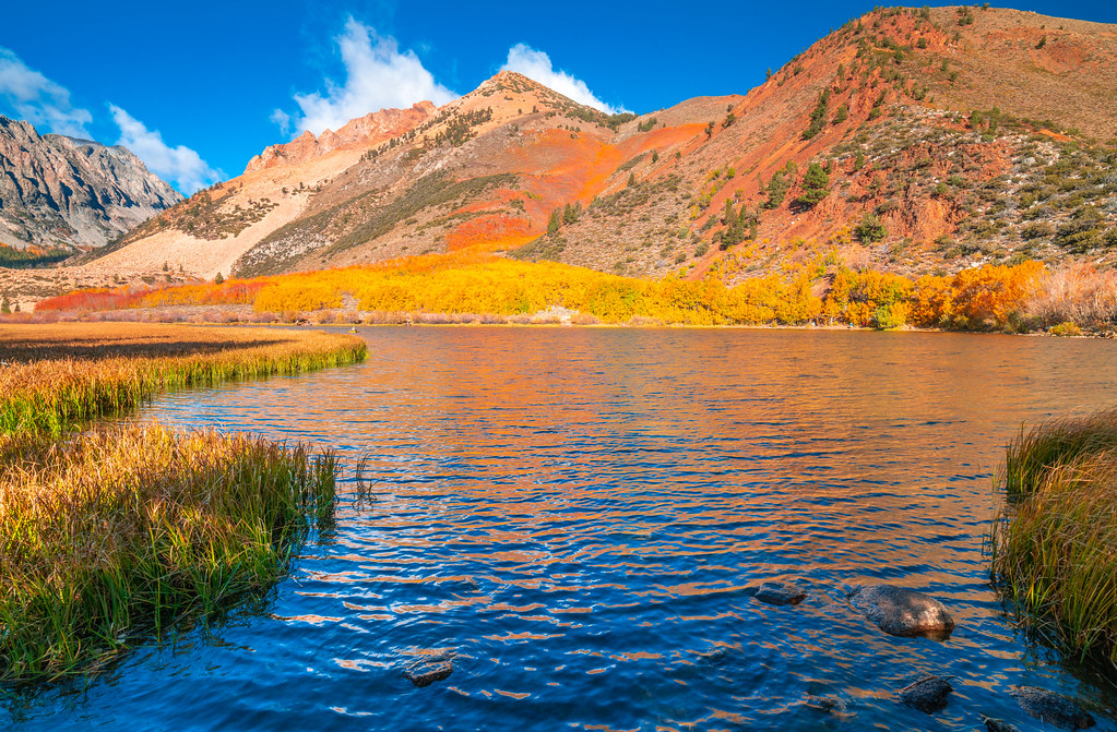 Eastern Sierra Fall Foliage California Fall Color! North L… Flickr