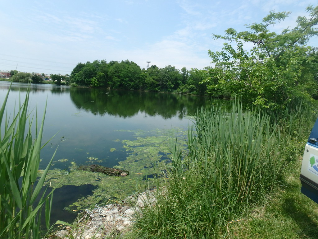 5/18/18 Successful Stansbury Park Cleanup! It was a beauti… Flickr