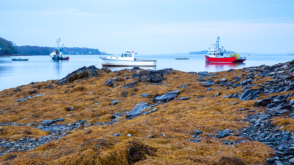 Low Tide At Lookout Point in Harpswell, Maine at low tide … Flickr