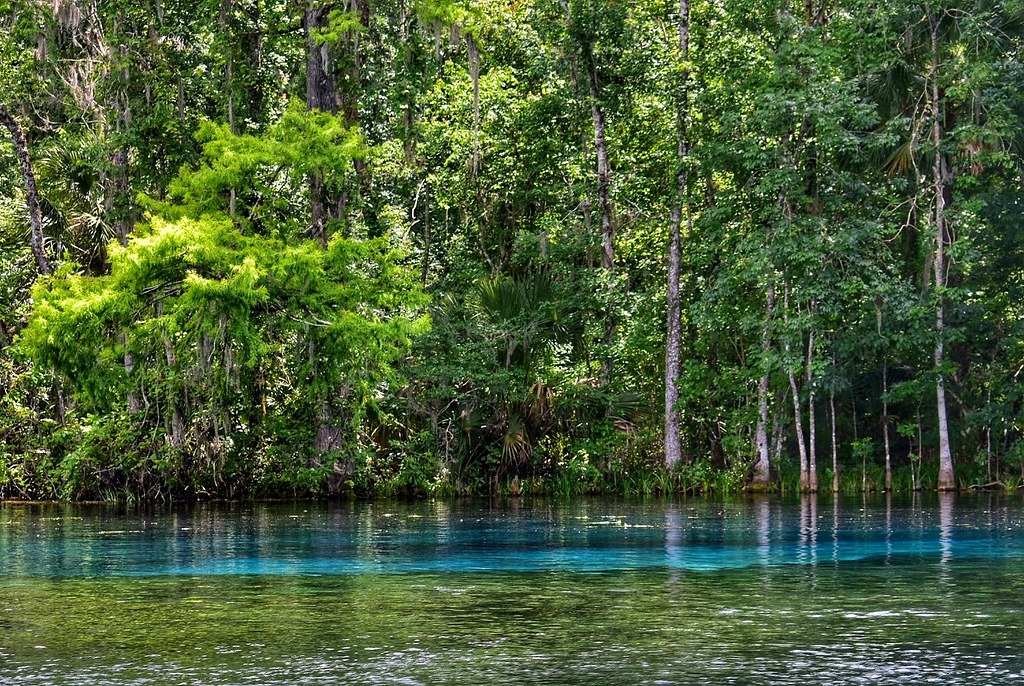 Silver Springs State Park Calmuziclover Flickr