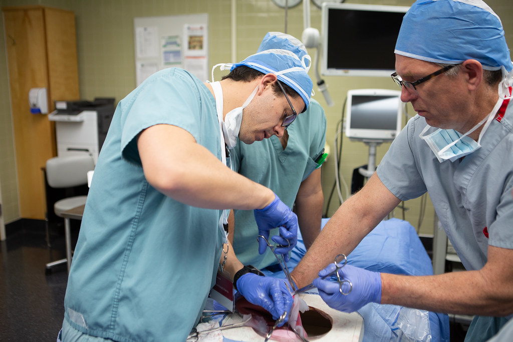 2019 Brooks Emergency Caesarian Hysterectomy Course Flickr