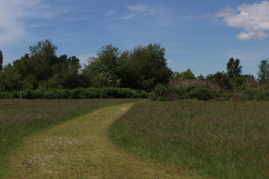 meadow Gregory Zhdanovich Flickr