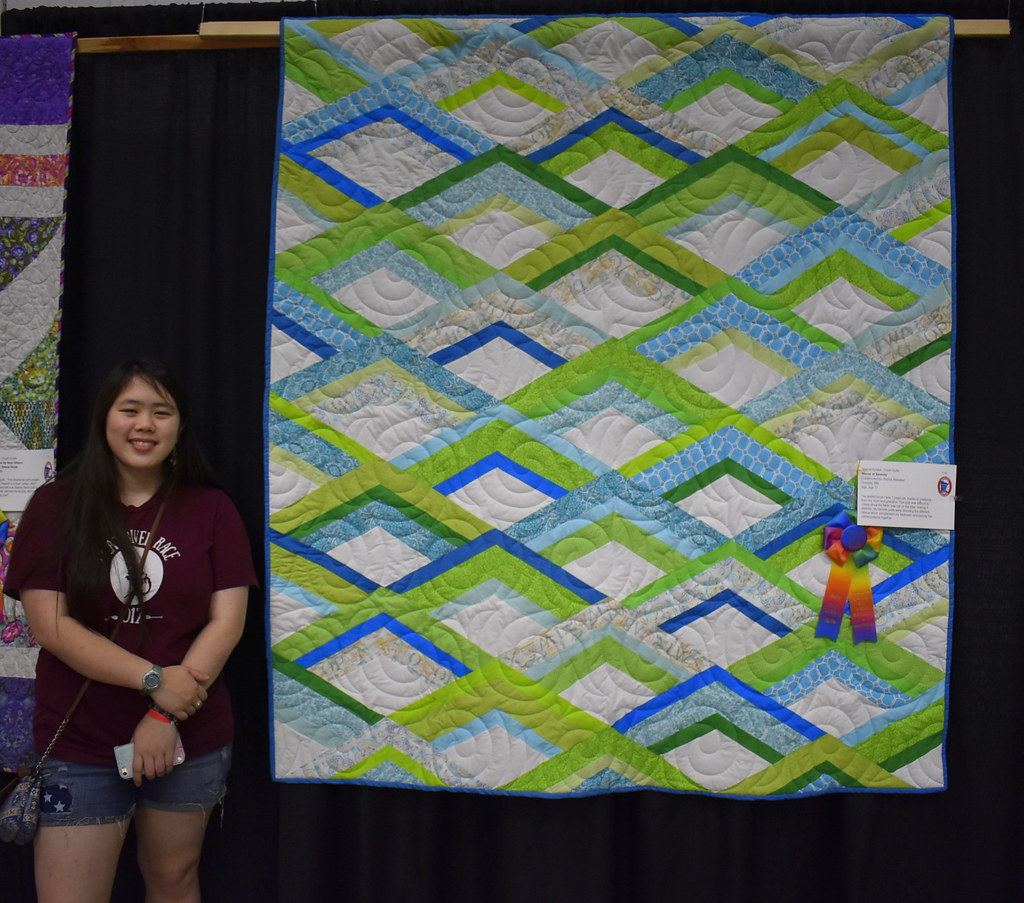 Minnesota Quilters Show in St. Cloud Ann Flickr