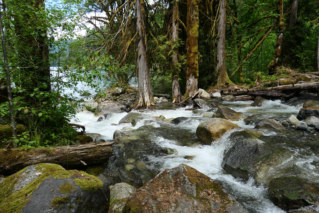 Anderson Creek stan Flickr