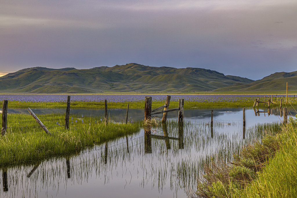 camas prairie0523193 Sunrise at Idaho Centennial Marsh… Flickr