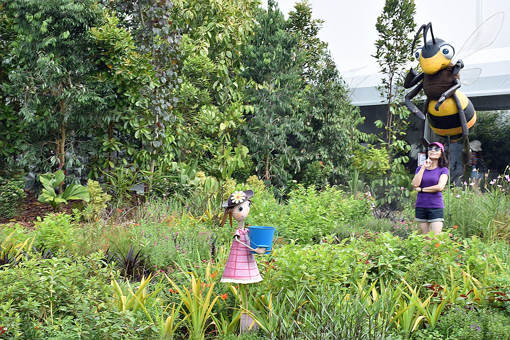 Flower Field At the Jurong Lake Gardens during Singapore G… Flickr
