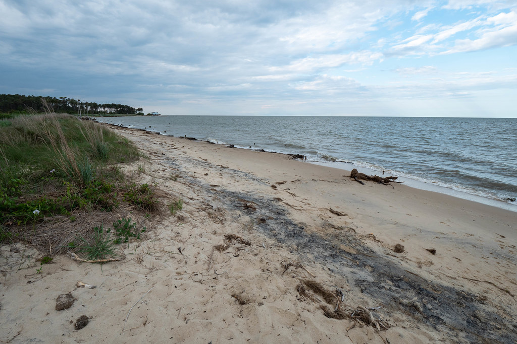 Bethel Beach Natural Area Preserve, Chesapeake, Virginia Flickr