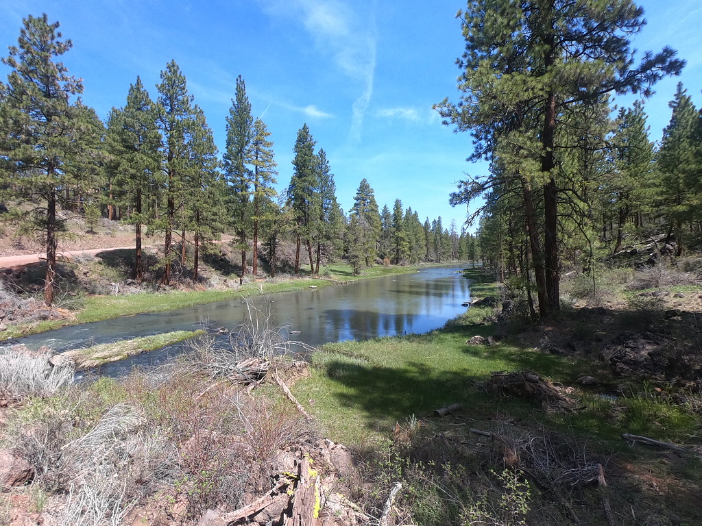 Miller Creek campsite at Gerber Sunny day from Miller Cree… Flickr