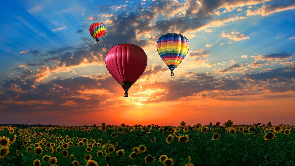 Pompey New York Landscape Sunflower Fields US 20 O… Flickr