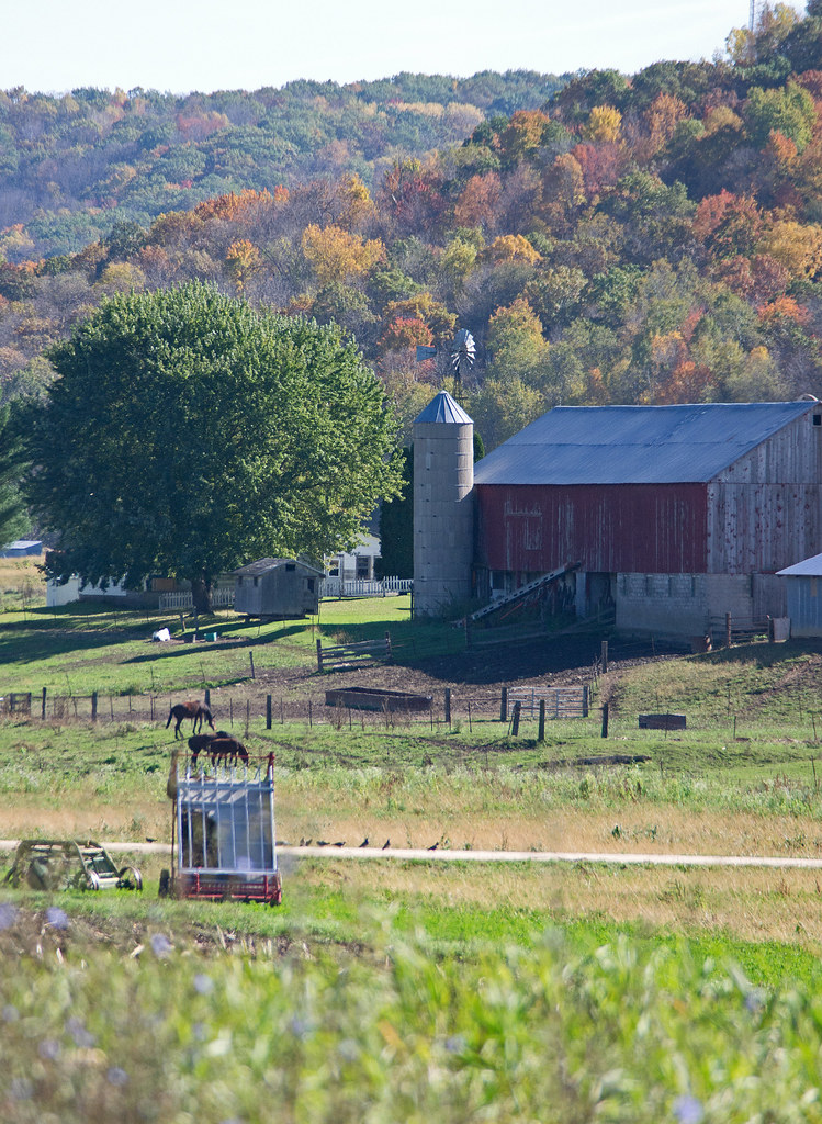 Amish farm scene last Fall in the Cashton area of Wisconsi… Gavin