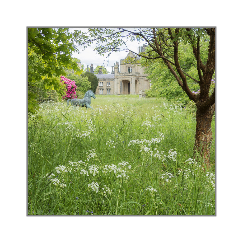 Lilburn Tower .an Open Garden visit....amazing gardens … Flickr