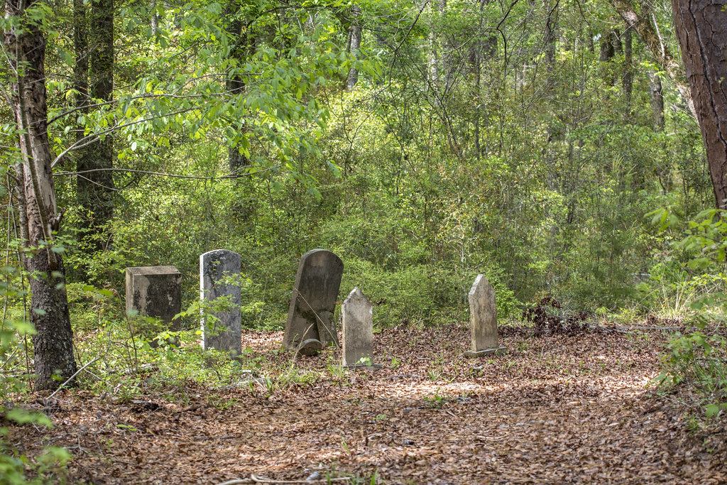 Hagermann Cemetery, St. SC Considered to be one of… Flickr