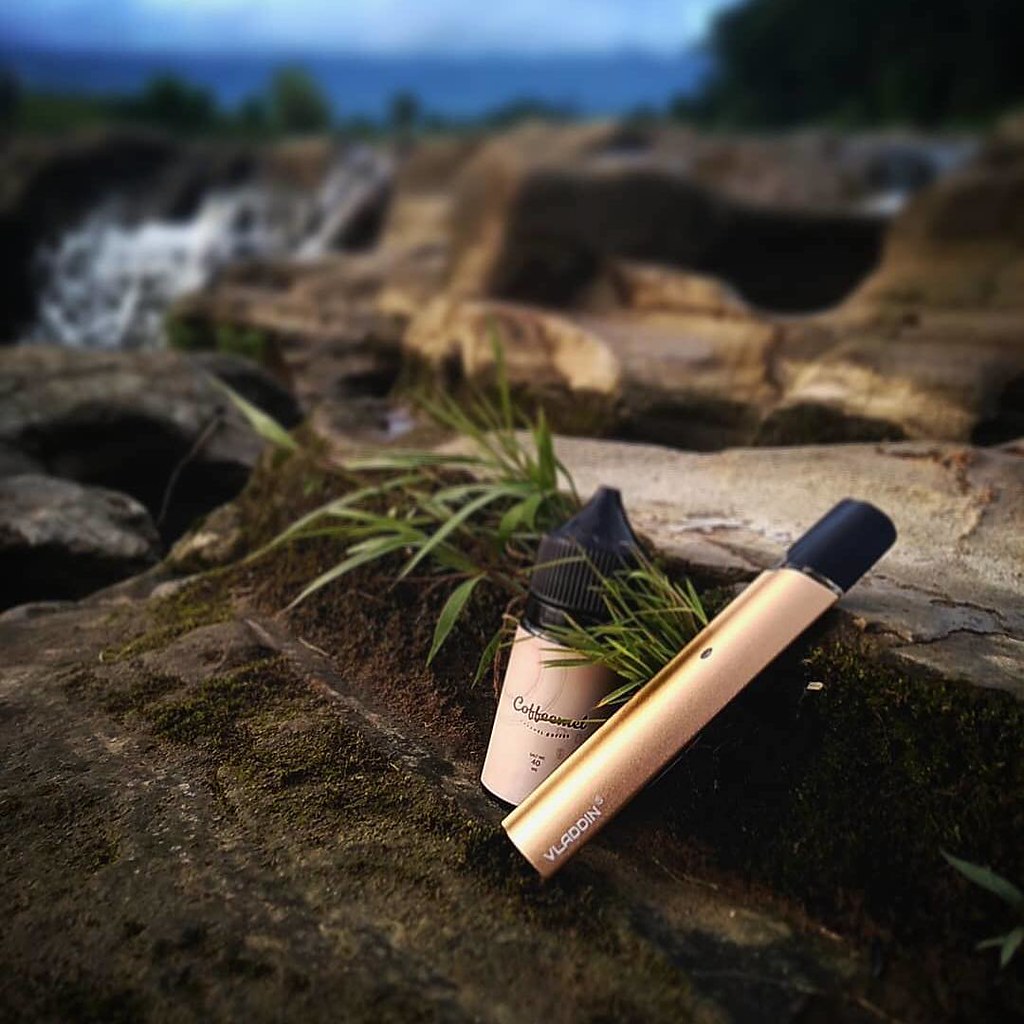 travel with portable vapeVladdin travel with portable vap… Flickr