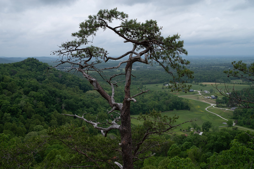 North lookout Indian Fort Mountain, Kentucky Boyd Shearer Flickr
