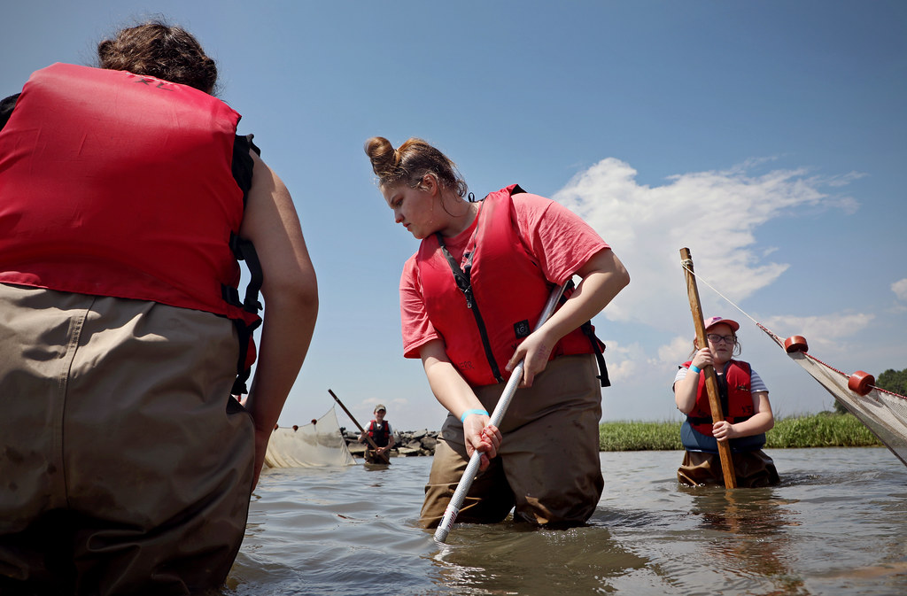 Marine Science Day 2019 Scenes from the Virginia Institute… Flickr