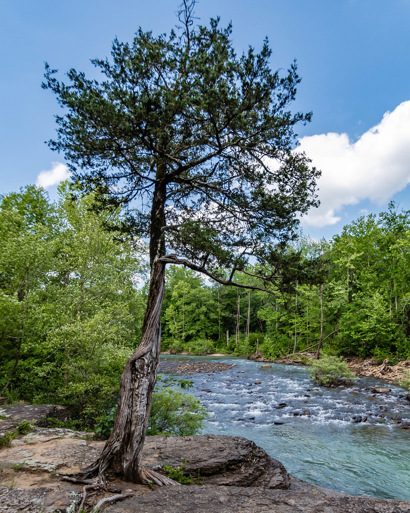 Bayou Bluff Recreational Area. Illinois Bayou. Jackson Tow… Flickr