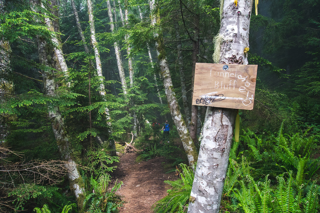 Tunnel Bluffs Hike near Lions Bay Wander Vancouver