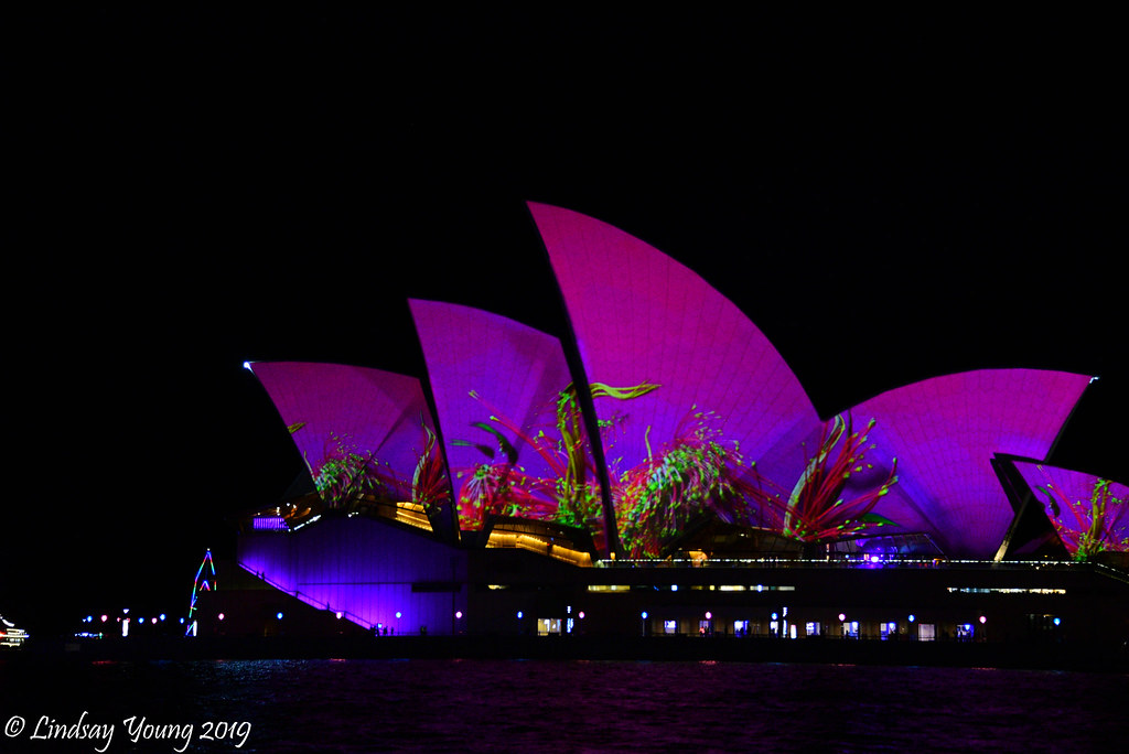 DSC_6798 Lindsay Young Flickr