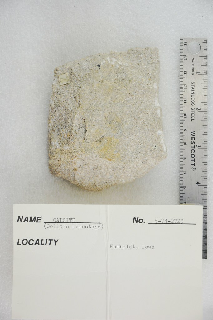 Calcite (Oolitic Limestone) Humboldt Iowa, USA Pacific Museum of