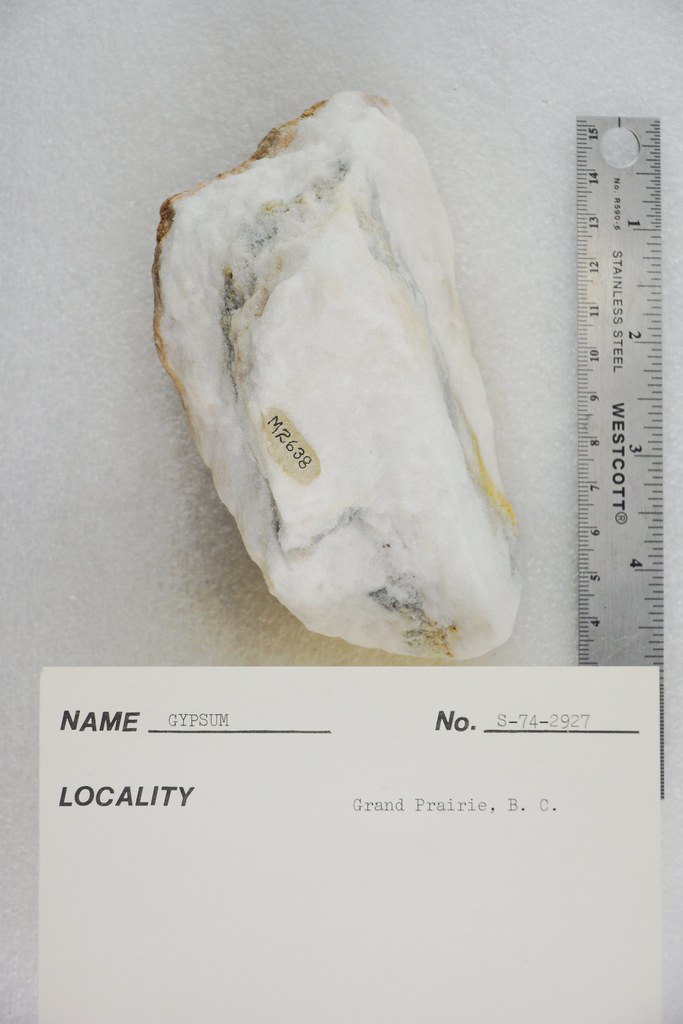 Gypsum Grand Prairie British Columbia, Canada Pacific Museum of