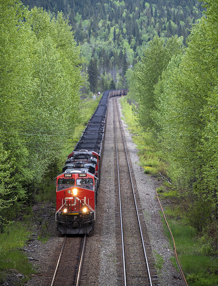 CN 2886 at Avola, British Columbia on May 17, 2019 Flickr