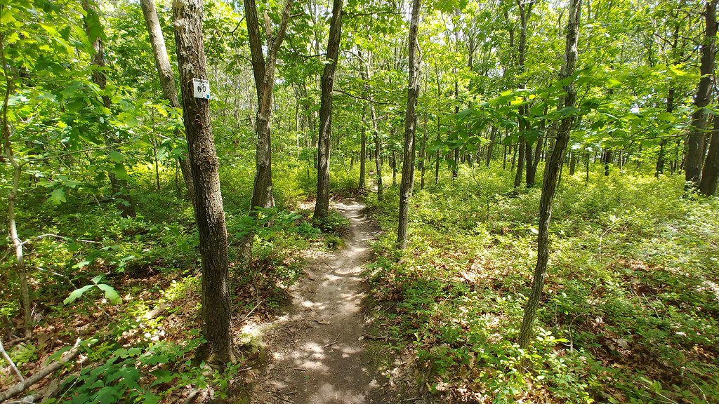 Laurel Ridge Setauket Woods Nature Preserve Michael Ebert Flickr