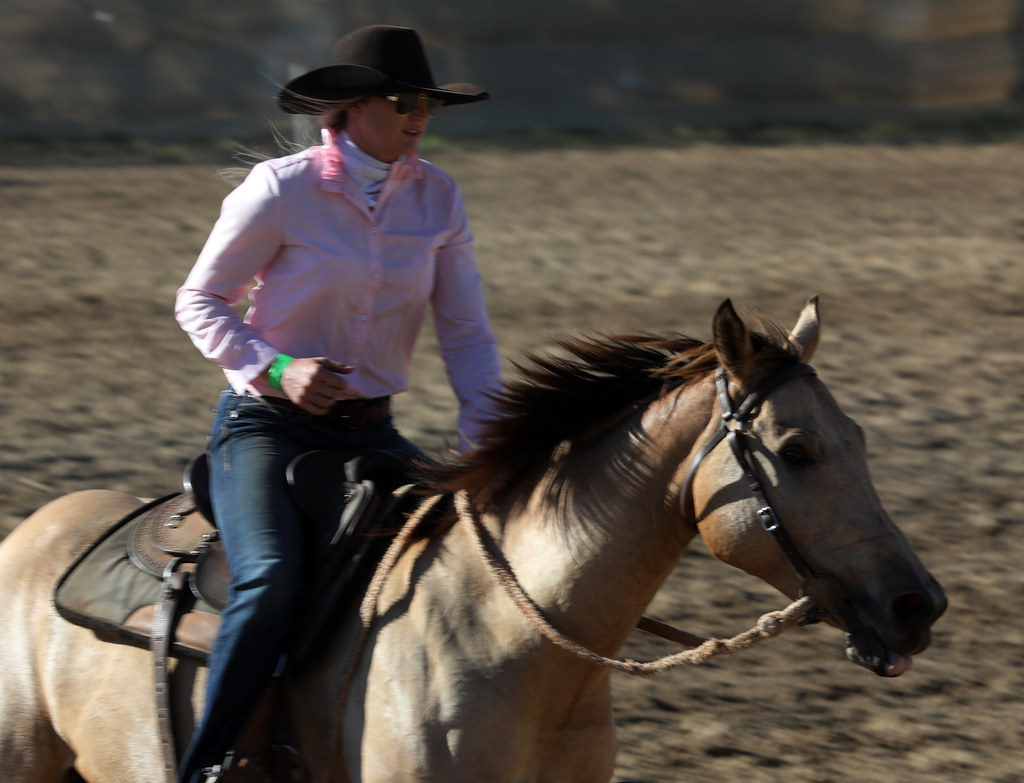 Adelaide River Show campdraft 2019, Adelaide River, Northe… Flickr