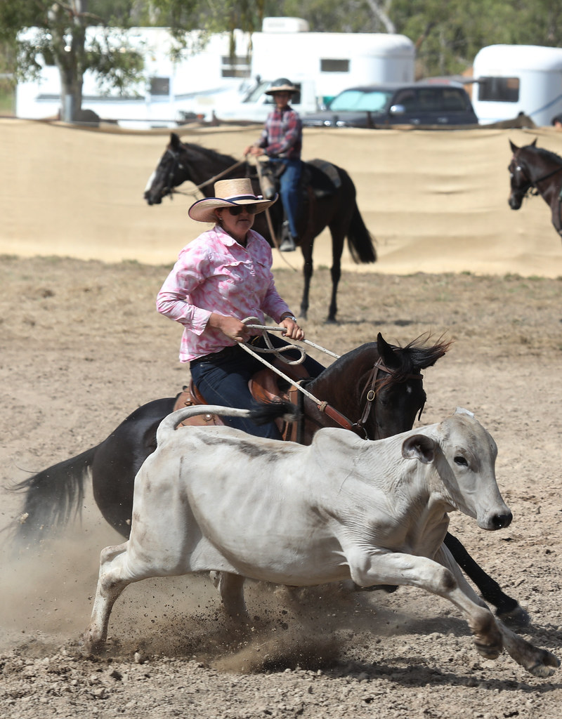 Adelaide River Show campdraft 2019, Adelaide River, Northe… Flickr