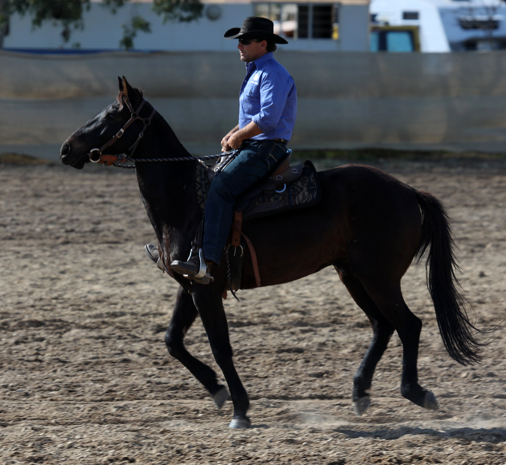 Adelaide River Show campdraft 2019, Adelaide River, Northe… Flickr