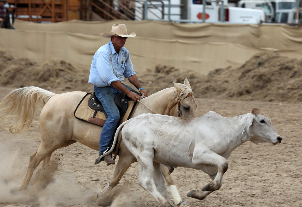 Adelaide River Show campdraft 2019, Adelaide River, Northe… Flickr