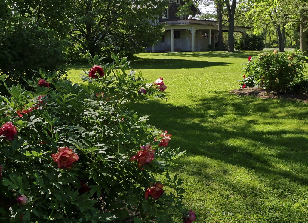 Linwood Gardens Made it over to this enchanted place on th… Flickr