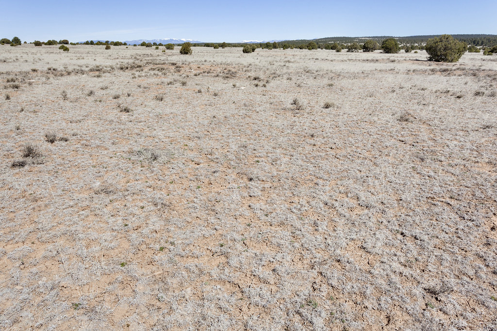 Glorieta Mesa Glorieta Mesa, between Hogback Hill and Barb… Flickr