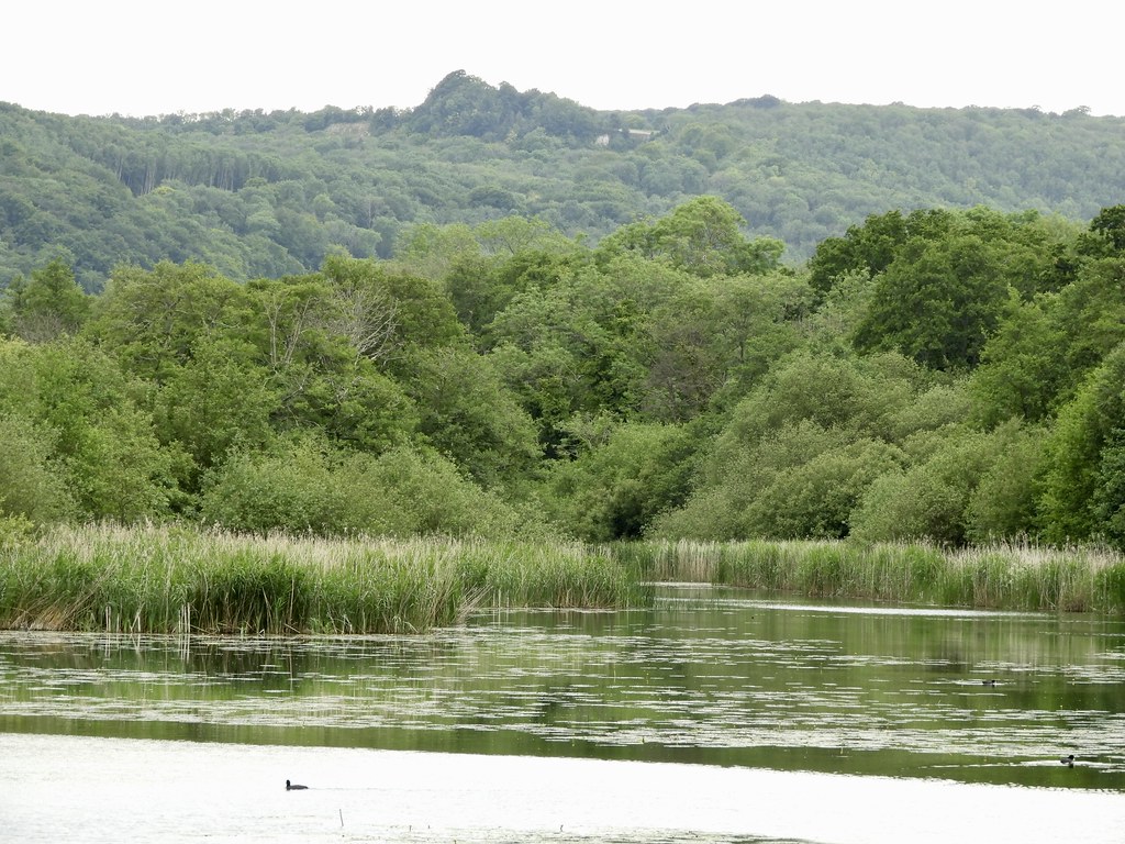 Burton Park West Sussex 9/6/19 robpalmer2 Flickr