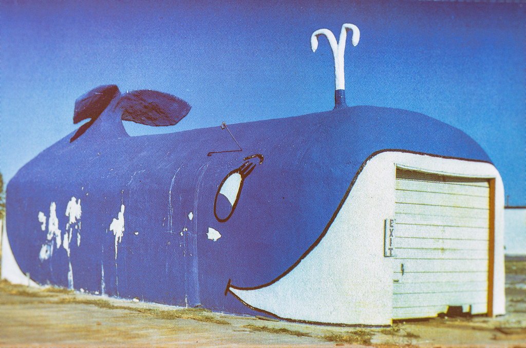 The Whale Car Wash, Oklahoma City, Oklahoma Thomas Hawk Flickr